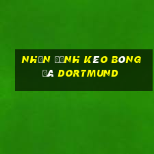 nhận định kèo bóng đá dortmund