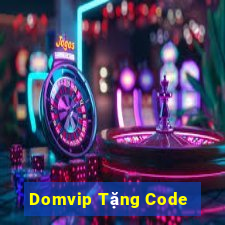 Domvip Tặng Code