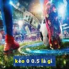 kèo 0 0.5 là gì