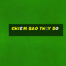 chiêm bao thấy bò