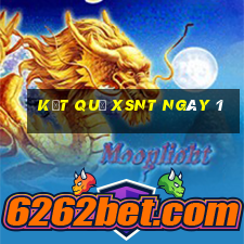 kết quả XSNT ngày 1