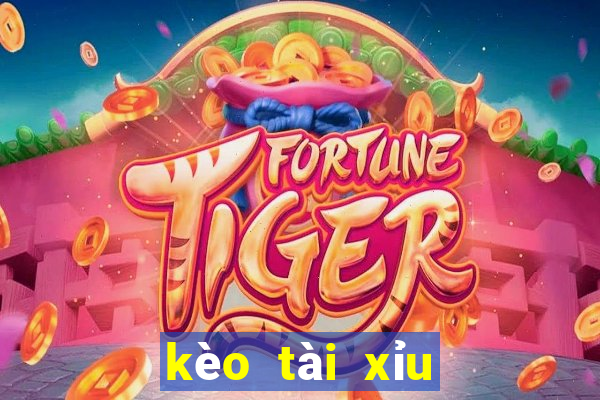 kèo tài xỉu 2.5 3 là gì