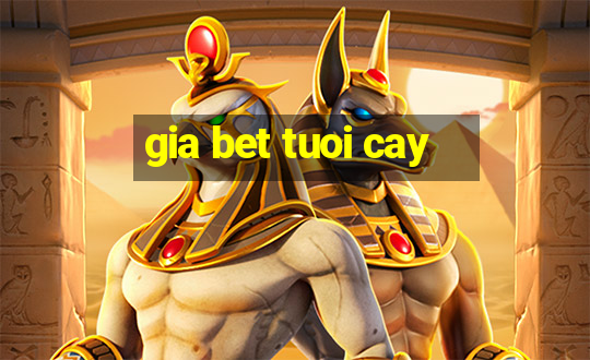 gia bet tuoi cay