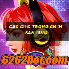 các cước trong chắn sân đình