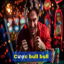 Cược bull bull