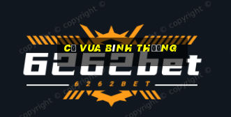 cờ vua bình thường