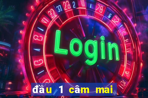 đầu 1 câm mai đánh con gì