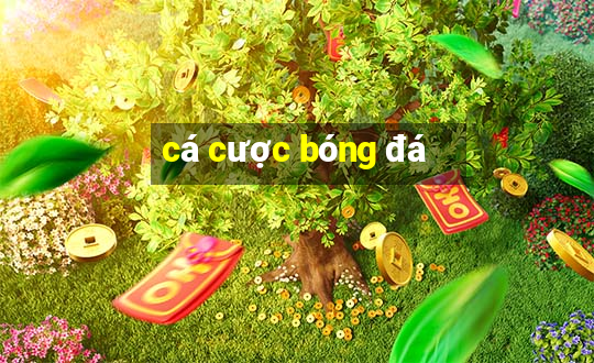 cá cược bóng đá