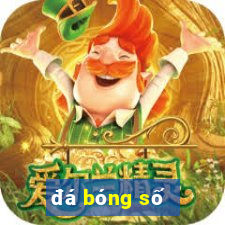 đá bóng số