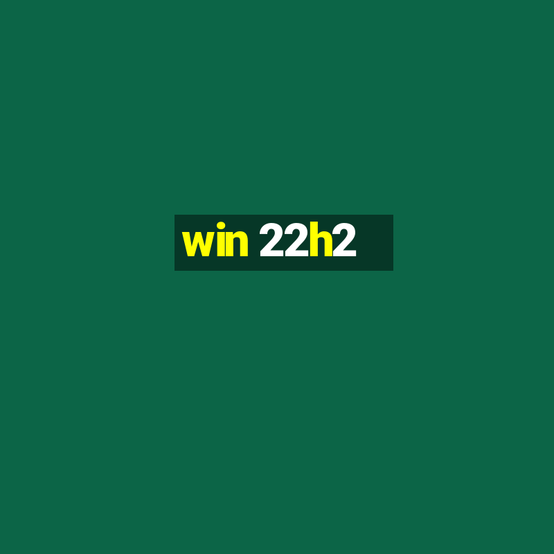 win 22h2