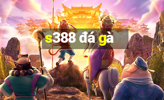 s388 đá gà