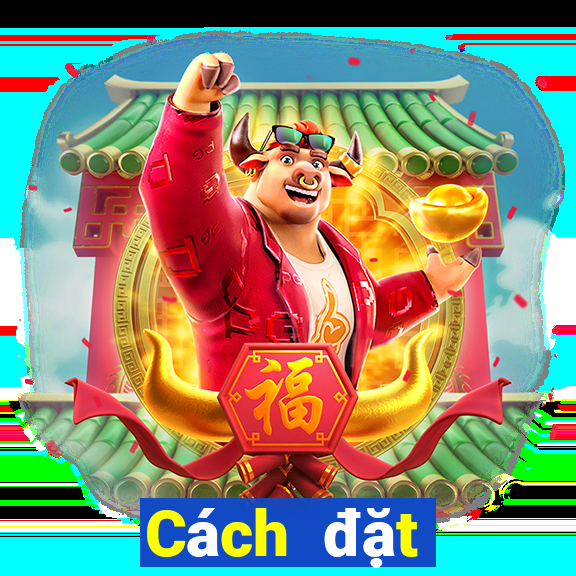 Cách đặt cược XSCM ngày 30