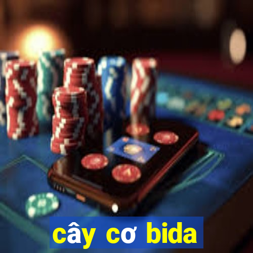 cây cơ bida