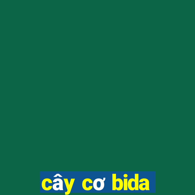 cây cơ bida