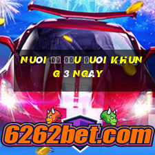 nuôi đề đầu đuôi khung 3 ngày