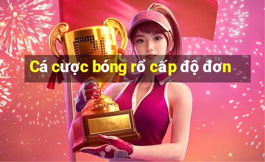 Cá cược bóng rổ cấp độ đơn