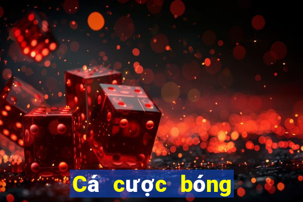 Cá cược bóng rổ cấp độ đơn