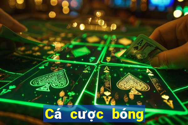 Cá cược bóng rổ cấp độ đơn