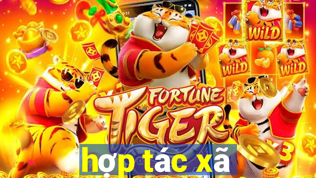 hợp tác xã