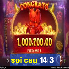 soi cau 14 3