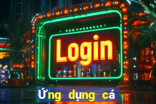 Ứng dụng cá cược bóng rổ