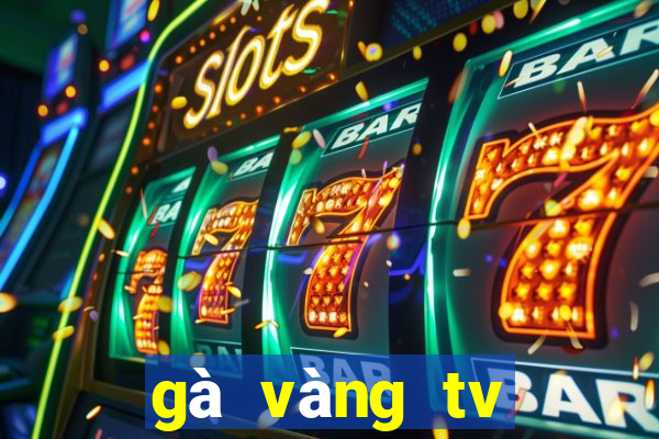 gà vàng tv trực tiếp bóng đá hôm nay