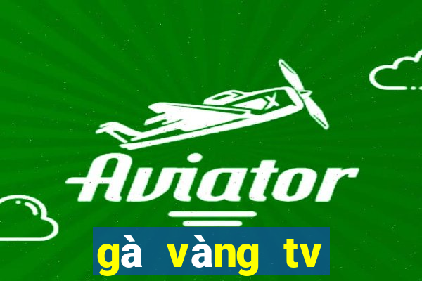 gà vàng tv trực tiếp bóng đá hôm nay