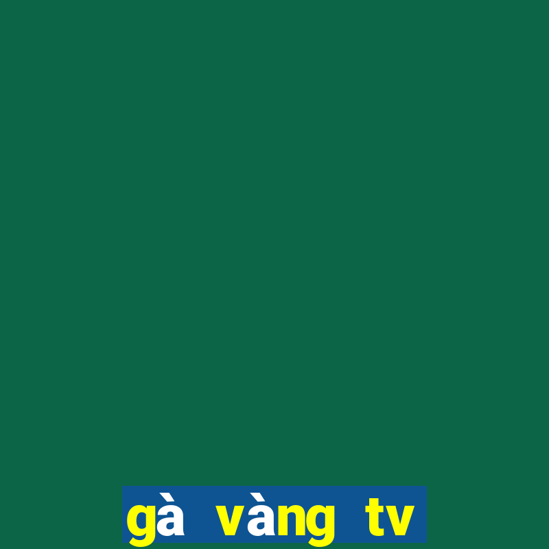 gà vàng tv trực tiếp bóng đá hôm nay