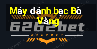 Máy đánh bạc Bò Vàng