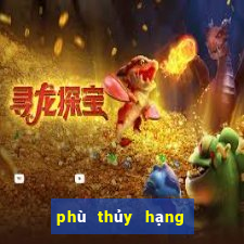 phù thủy hạng bét raw