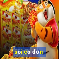 sói cô đơn