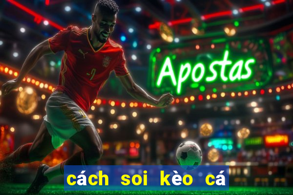 cách soi kèo cá độ bóng đá