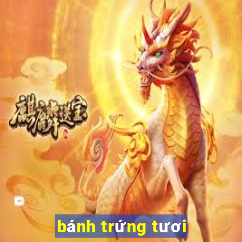 bánh trứng tươi