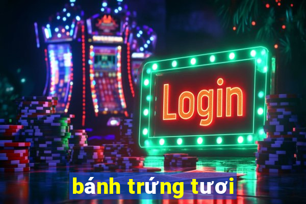 bánh trứng tươi