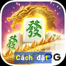 Cách đặt cược XSCT ngày 20