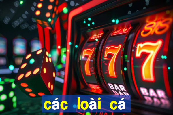 các loài cá nước ngọt