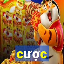 cược