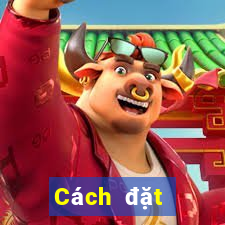 Cách đặt cược XSTV Thứ 4