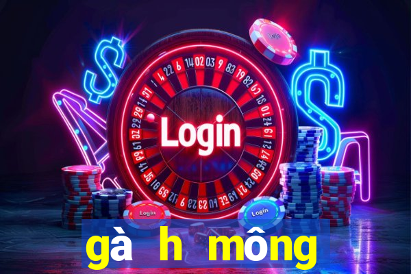 gà h mông thuần chủng