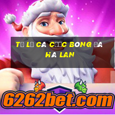 tỷ lệ cá cược bóng đá hà lan