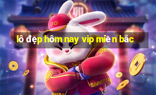 lô đẹp hôm nay vip miền bắc