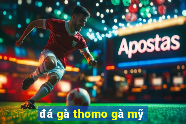 đá gà thomo gà mỹ