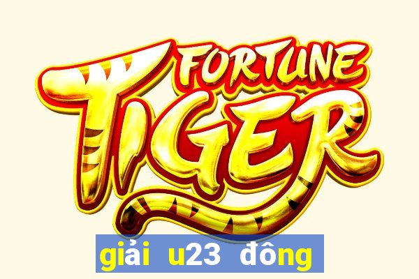 giải u23 đông nam á