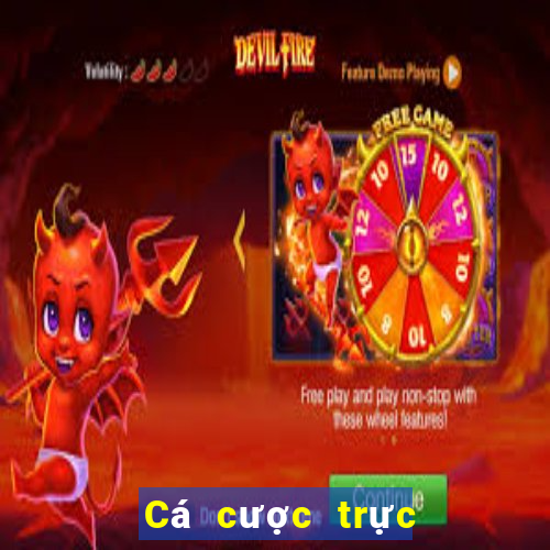 Cá cược trực tuyến V6bet