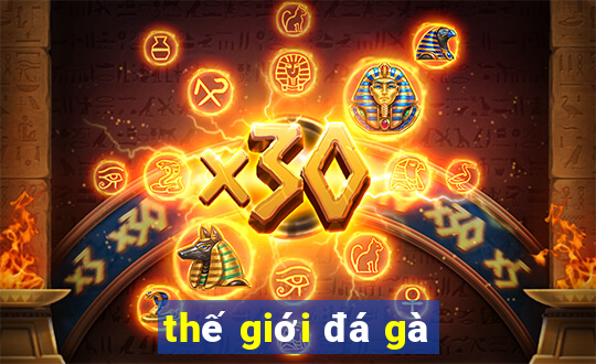 thế giới đá gà