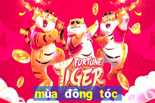 mùa đông tóc nhanh bết