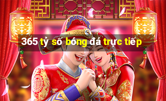 365 tỷ số bóng đá trực tiếp