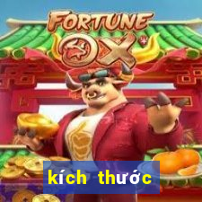 kích thước khung thành sân 7