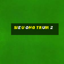 Siêu ông trùm 2