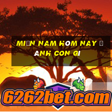 miền nam hôm nay đánh con gì